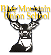 Blue Mountain logo