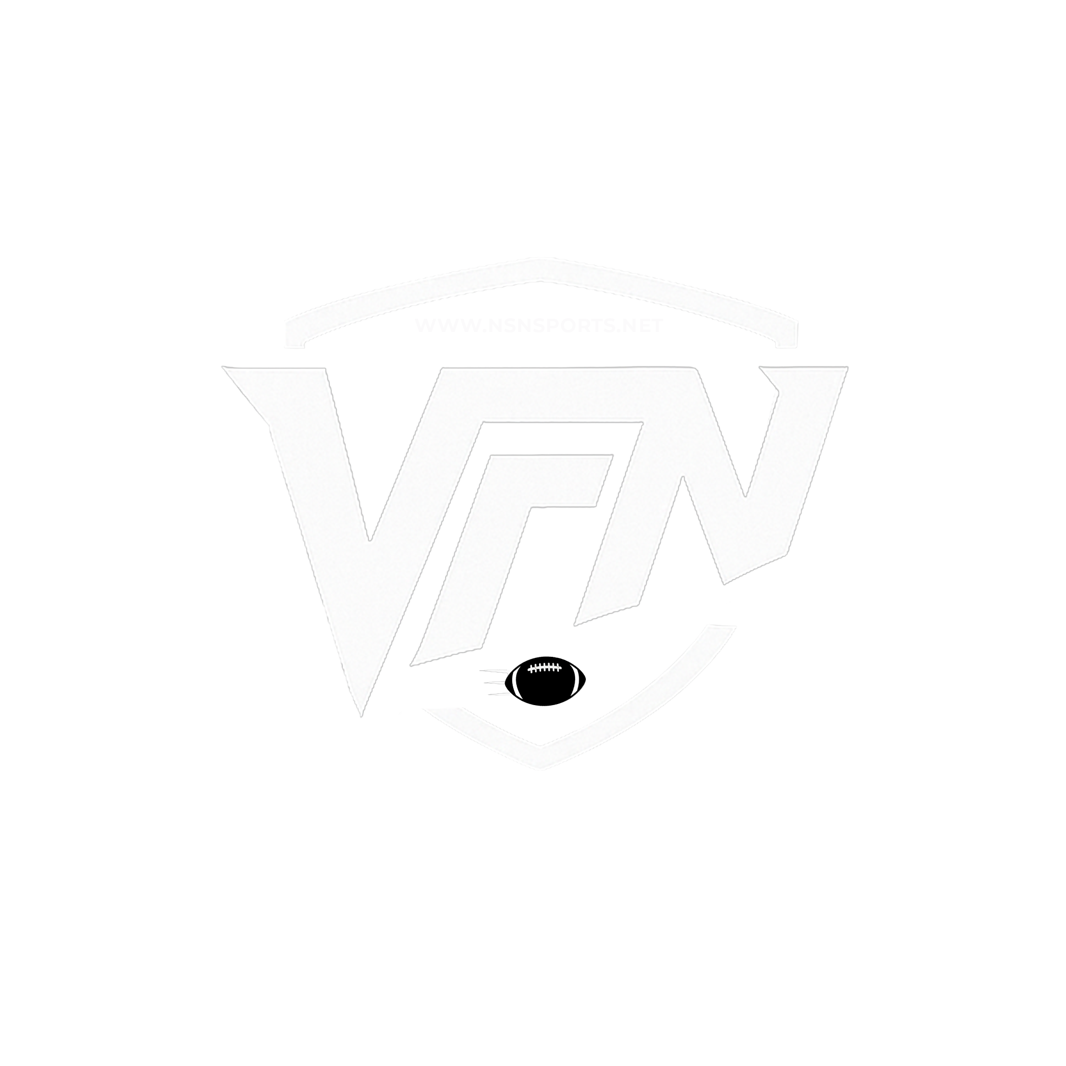 VFN logo