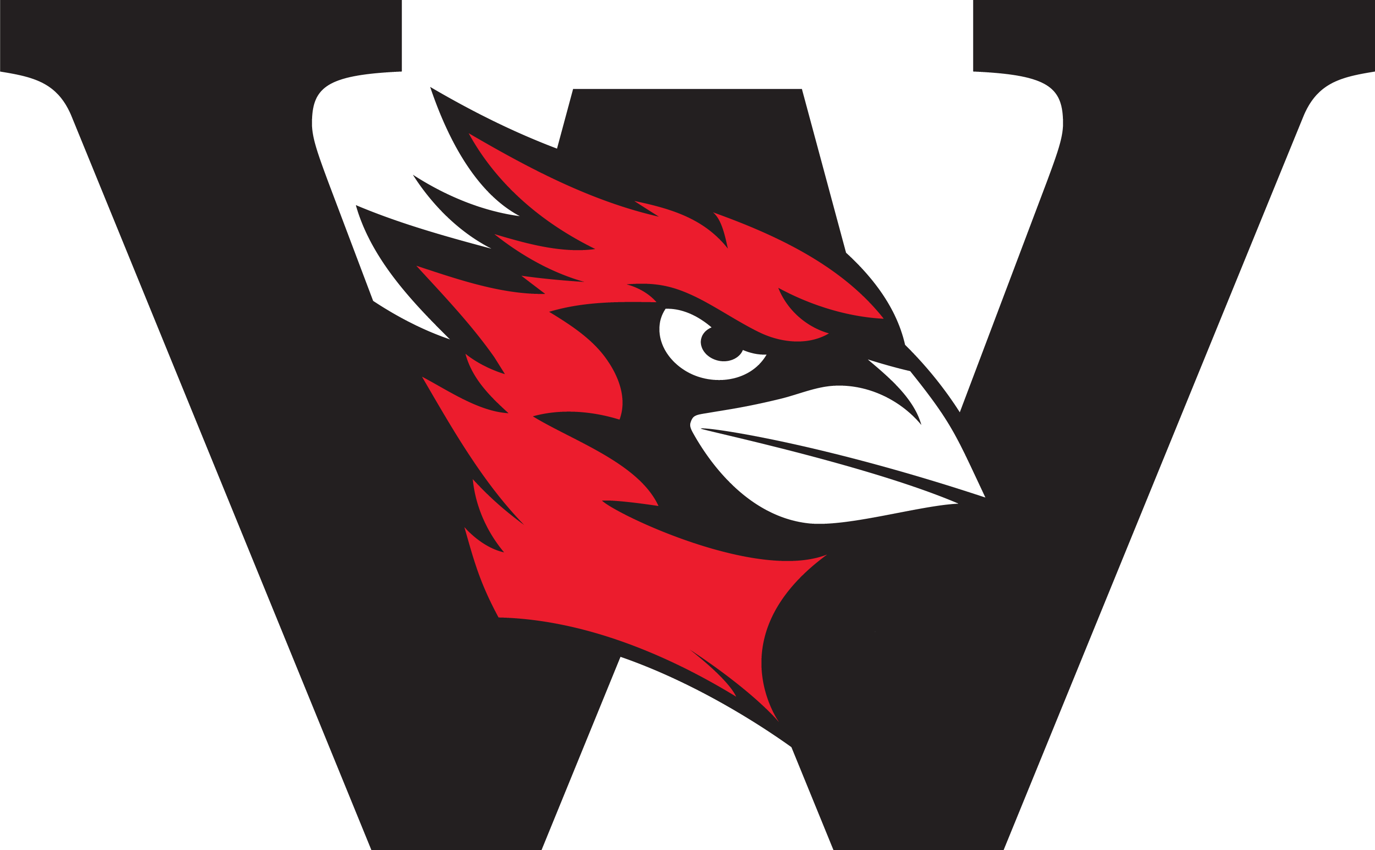 Image result for wesleyan university soccer  logo athletics